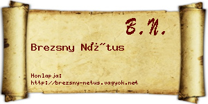 Brezsny Nétus névjegykártya